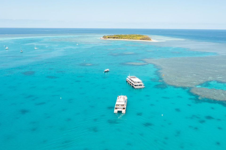 Best Lady Musgrave Island Day Trips - LadyMusgraveIsland.com