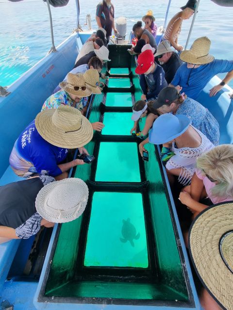 Best Lady Musgrave Island Day Trips - LadyMusgraveIsland.com