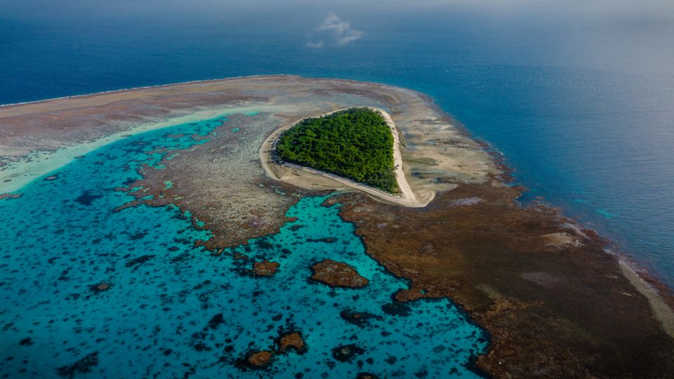 Best Lady Musgrave Island Day Trips - Ladymusgraveisland.com