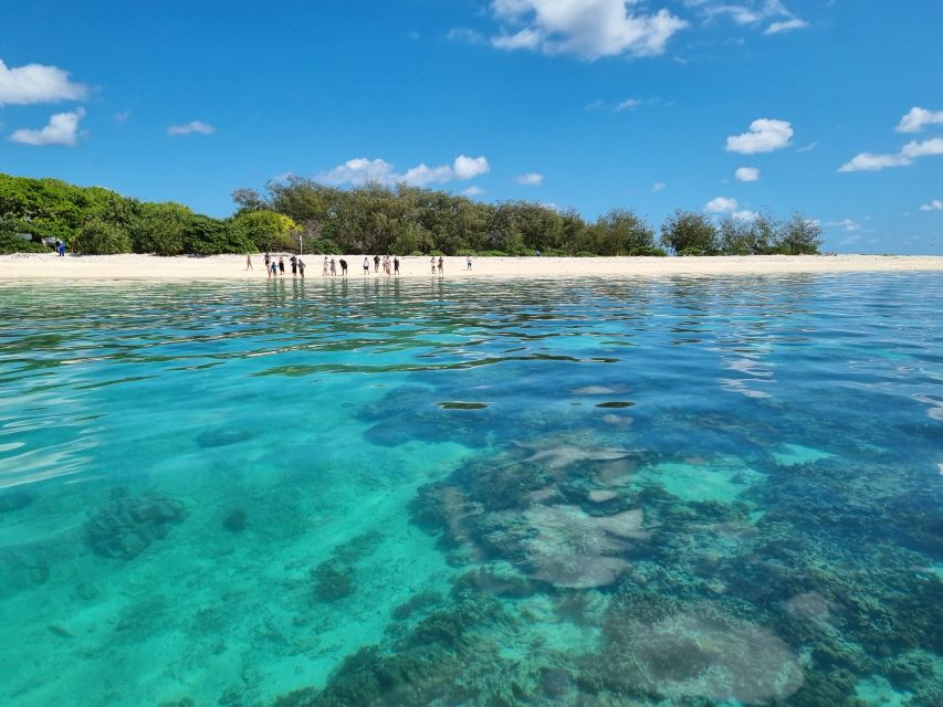 Best Lady Musgrave Island Day Trips - LadyMusgraveIsland.com